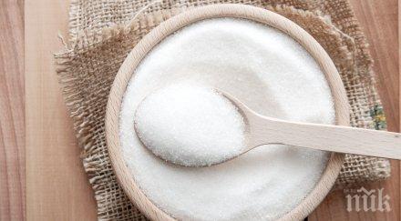 трик добавете шампоана косата стане два мека гъста