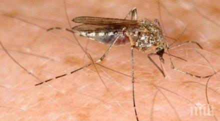 шест жертви западнонилската треска сърбия последната седмица