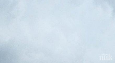 сняг август бяла пелена покрия части австрия италия германия