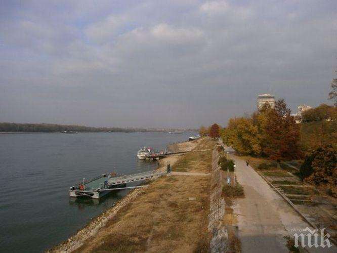 Няма мъртва риба в река Дунав край Лом