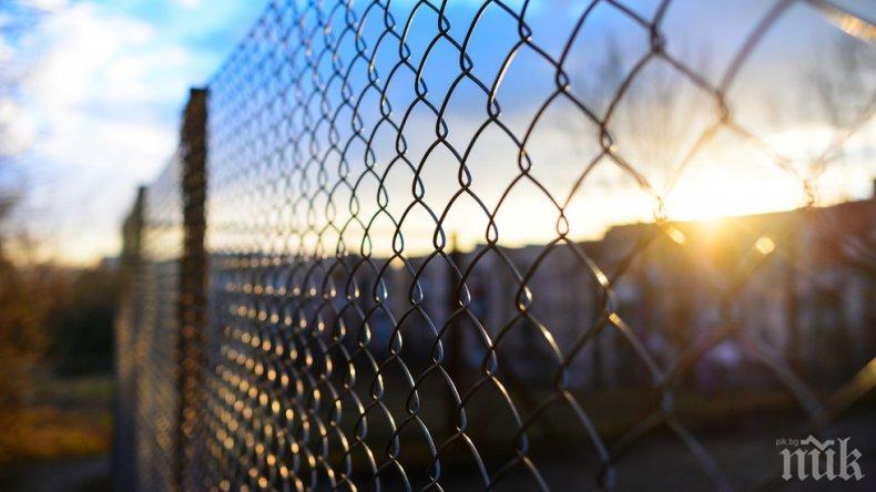 Изградена е телената оградата за превенция на африканска чума по свинете на границата с Румъния