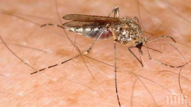 Шест жертви на западнонилската треска в Сърбия за последната седмица