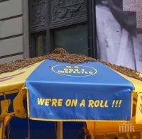 СМУТ В НЮ ЙОРК! Голям рояк пчели щурмува 