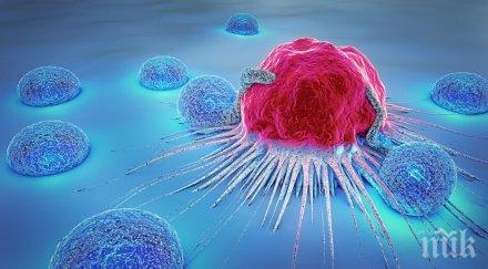 невероятно учени доказаха каква скоростта смъртта