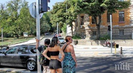 опасно булевард руски пловдив избягаха зебрите