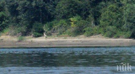 потрес циганета удавиха нарочно дете дунава