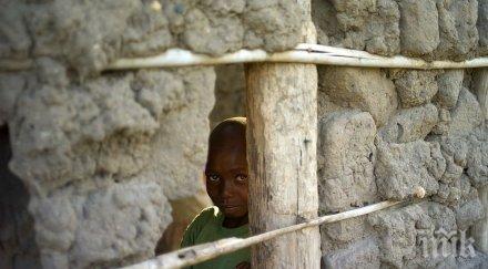 тъжна статистика въоръжените конфликти африка отнели живота милиона деца