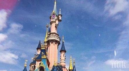 дисниленд вече предлага алкохол