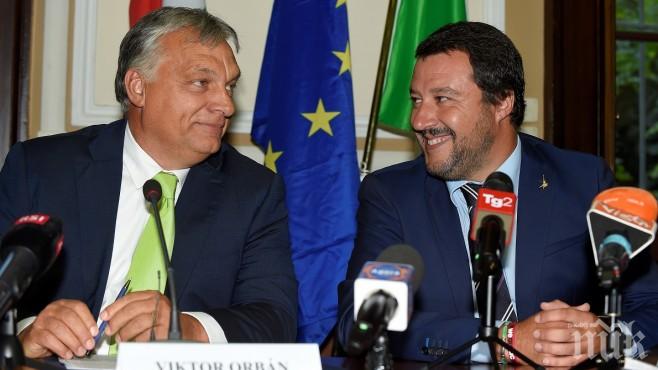 Макрон: Орбан и Салвини с основание гледат на мен като на техен основен противник
