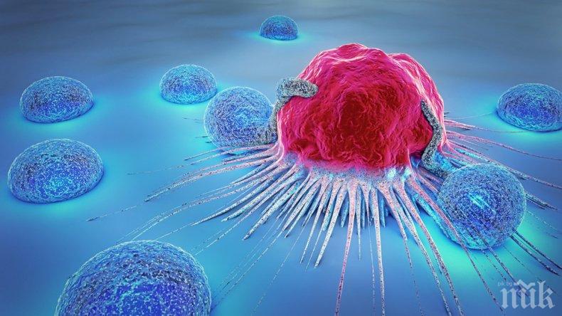 НЕВЕРОЯТНО! Учени доказаха каква е скоростта на смъртта


