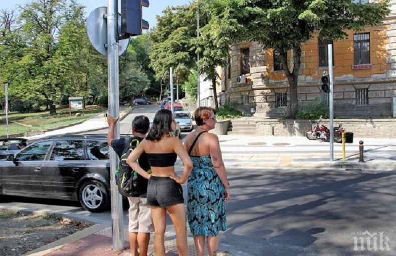 ОПАСНО! На булевард Руски в Пловдив му избягаха зебрите