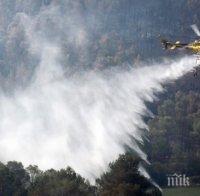 Пожар унищожи 150 хектара горски масив във Франция