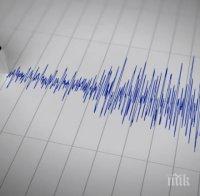 Земетресение с магнитуд 7 разлюля Япония тази вечер
