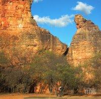 Супер находка! Учени откриха следи от древна цивилизация в Южна Америка