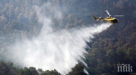 пожар унищожи 150 хектара горски масив франция