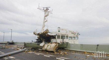 станаха жертвите тайфуна джеби япония 300 ранени