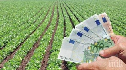 земеделието 120 млн доход субсидии декларирани нап