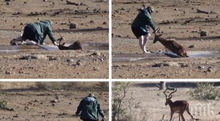 спасителна акция турист измъкна антилопа кална яма юар