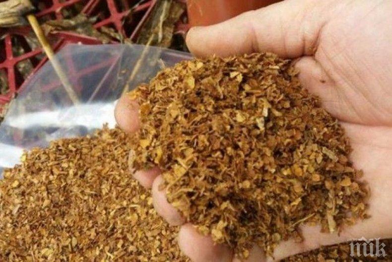 Заловиха десетки килограми нелегален тютюн при спецакция в Сливен