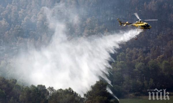 Пожар унищожи 150 хектара горски масив във Франция