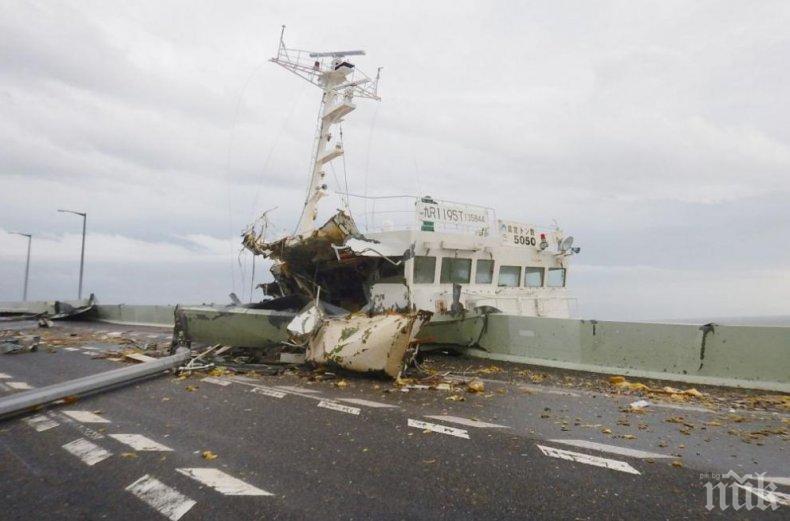  8 станаха жертвите на тайфуна Джеби в Япония, над 300 са ранени