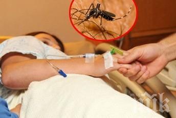 НА РЪБА! Пловдивчанинът със западнонилската треска бил в кома