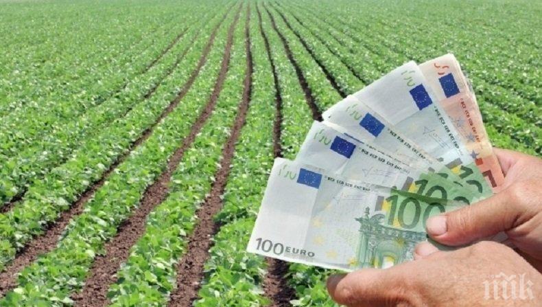 В ЗЕМЕДЕЛИЕТО! 120 млн. лв. доход от субсидии не са декларирани пред НАП