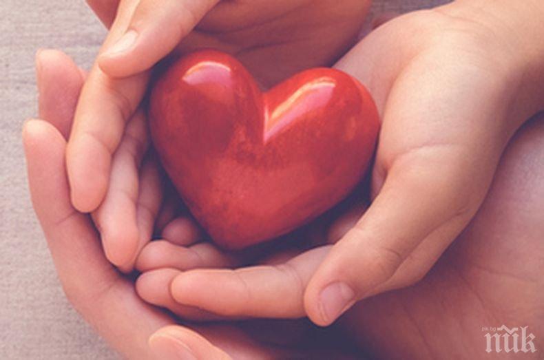 Любопитни факти за любовта, които вероятно не знаете