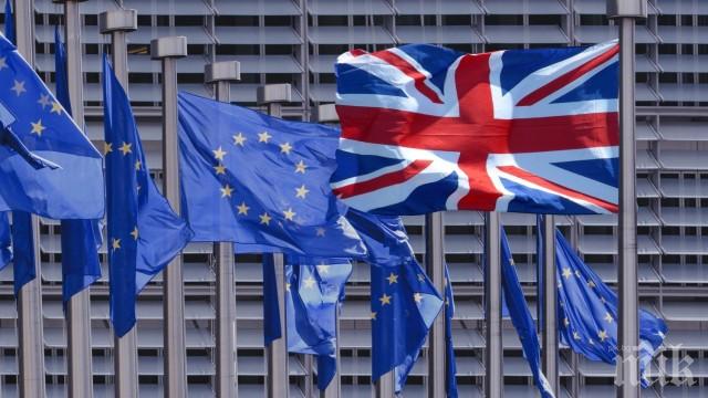 59% от британците дават гласа си Кралството да остане в Европейския съюз