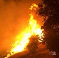 ОГНЕНИ ПЛАМЪЦИ! Пожар горя край Летище Пловдив