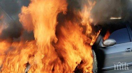 огнена фиеста петрич запалиха колите кольо ликсеро сина