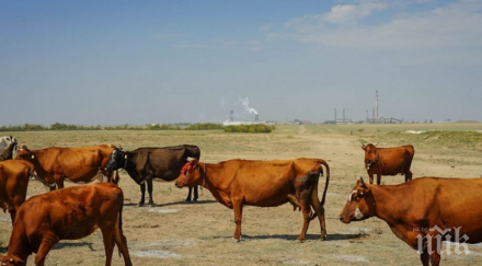 заводът предизвика екокатастрофата крим продължава работи