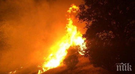 огнени пламъци пожар горя летище пловдив