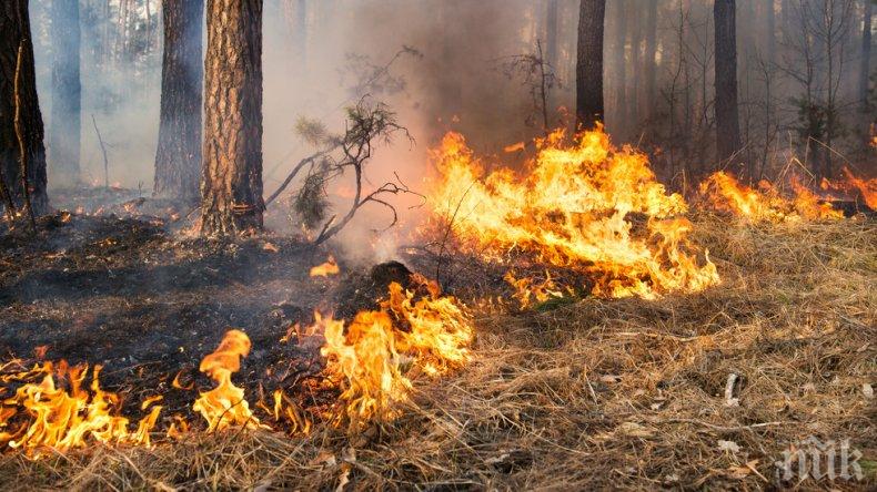 ОГНЕНА СТИХИЯ! Голям пожар облизва къщите в село Войнягово