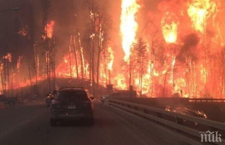 Голям пожар на гръцки остров, евакуират жители и туристи