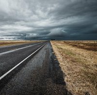 Прокуратурата проверява случая с жестоко влаченото от кола куче