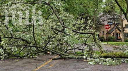 клон падна главата жена бургас