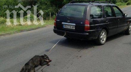 шокиращо изверг влачи куче кола снимка