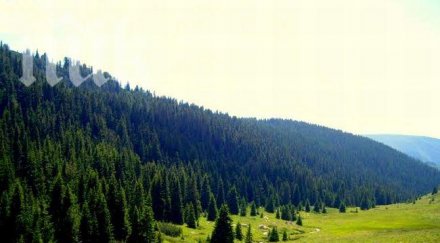 отварят парк музей врана