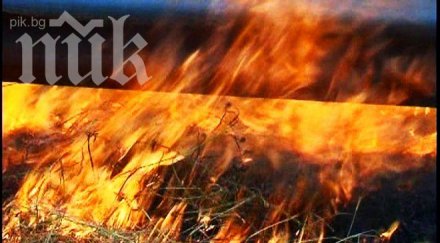 колата петте загинали имало бебешко столче обновена