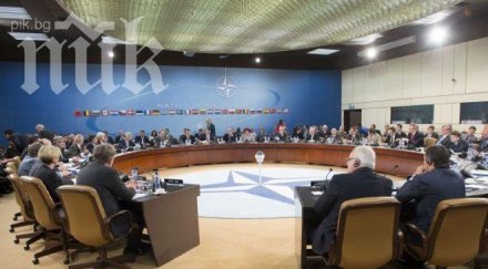 ангел найденов обеща военна помощ грузия