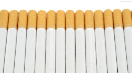 плевнелиев категорично против вдигане забраната пушене