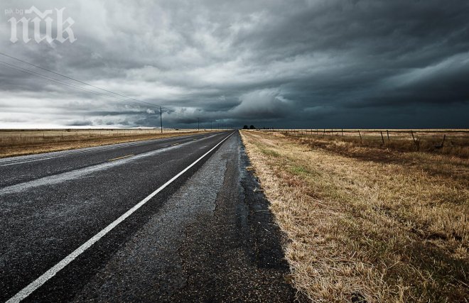 Прокуратурата проверява случая с жестоко влаченото от кола куче