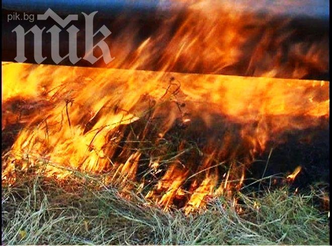 В колата с петте загинали имало и бебешко столче (Обновена)