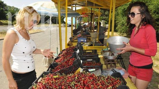 Руснаците отново ще ни оставят без череши