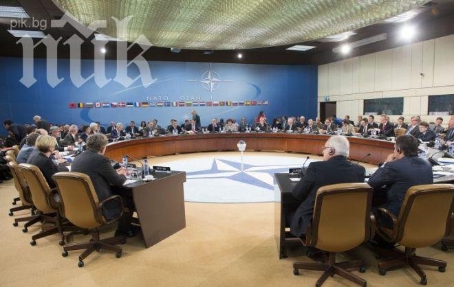 Ангел Найденов обеща военна помощ на Грузия