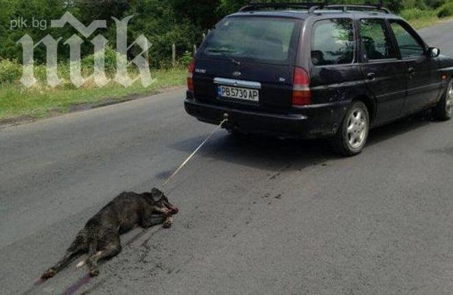 Зверски влаченото куче е живо, откриха стопанина му