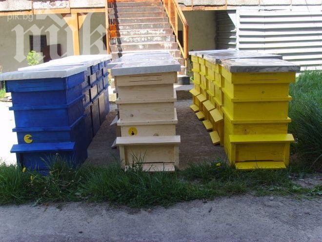 Разкриха крадец на пчели