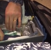 ШАШ! Откриха 20 живи змии в куфара на пътник на летището (ВИДЕО)