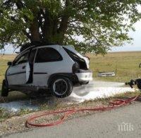 БРУТАЛНО: 39-годишен шофьор заби голфа си в дърво и загина на място